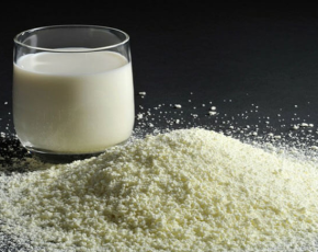 Sữa bột - Lợi ích sức khỏe và tầm quan trọng của dây chuyền sản xuất chuẩn GMP