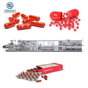 Dây chuyền ép vỉ DHL7004 hãng Hoping