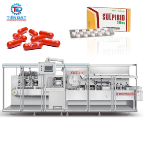 Máy đóng hộp carton XWZ300 hãng Hoping