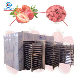 Máy sấy hoa quả khô